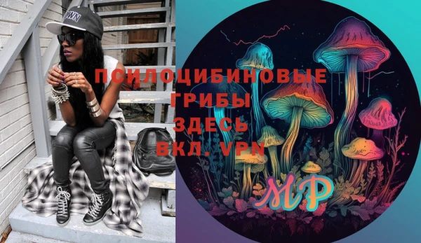 твердый Алзамай