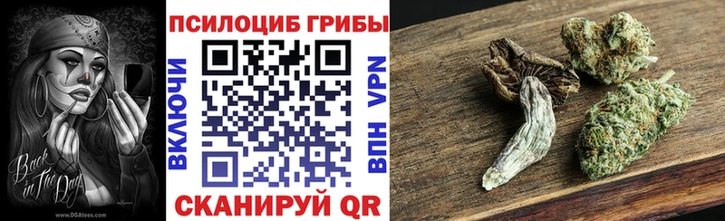 МЕГА ТОР  Камышин  Псилоцибиновые грибы MAGIC MUSHROOMS  продажа наркотиков 