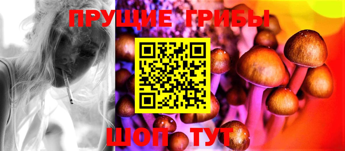 Камышин  Псилоцибиновые грибы Psilocybe  Вход с VPN  Псилоцибиновые грибы мицелий 